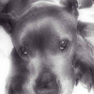 Meet your Posher, Marni